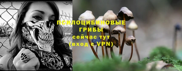mdpv Аркадак