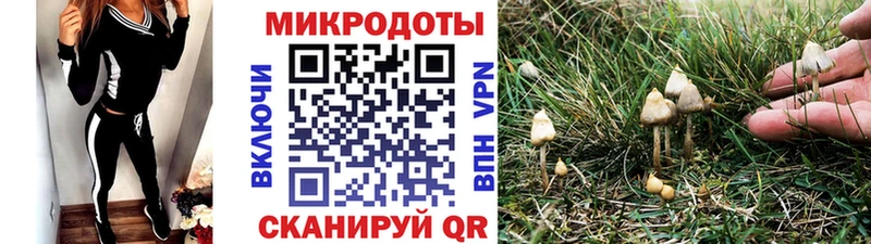 ссылка на мегу ссылка  Бабушкин  Псилоцибиновые грибы Psilocybine cubensis  где купить  